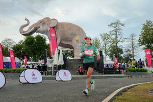 BIB: 
                            <button type="button" onclick="openModal(26528777)" class="btn btn-primary btn-sm float-right btn-popup" data-toggle="modal" data-target=".modal-high-quality">
                        <i class="fas fa-shopping-cart"></i> Add to Cart
                    </button>
                                            <button type="button" onclick="isThisMe(26528777, true)" class="btn btn-success btn-sm float-right btn-popup btn-isme hidden" data-toggle="tooltip" data-placement="bottom" title="นี่คือรูปของคุณใช่ไหม คลิกที่นี่เพื่อเอาเข้าอัลบั้ม">
                        <i class="fas fa-plus"></i> Add to album
                    </button>
                    <button type="button" onclick="isThisMe(26528777, false)" class="btn btn-warning btn-sm float-right btn-popup btn-isnotme hidden">
                        <i class="fas fa-ban"></i> Remove from album
                    </button>